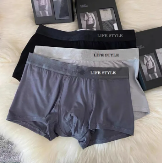 3 pieces Premium Men's underwear boxer